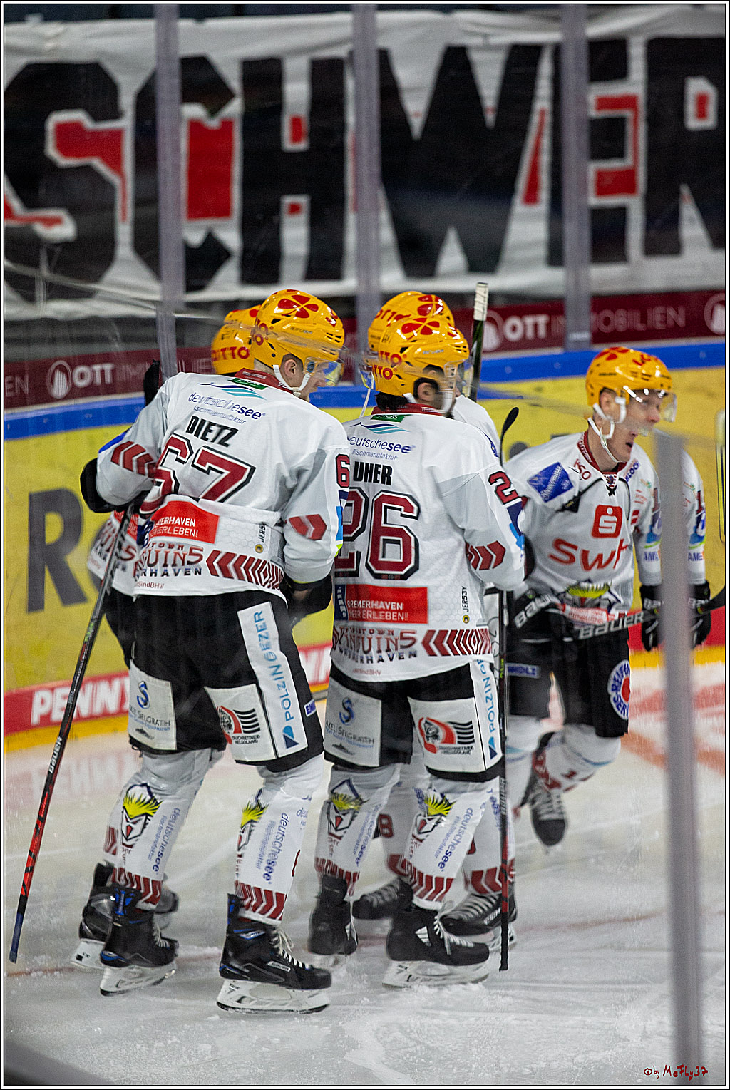 PENNY DEL;  Koelner Haie - Fischtown Pinguins Bremerhaven; Koeln, 17.01.2021
